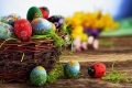 A ladybug near a basket filled with Easter eggs